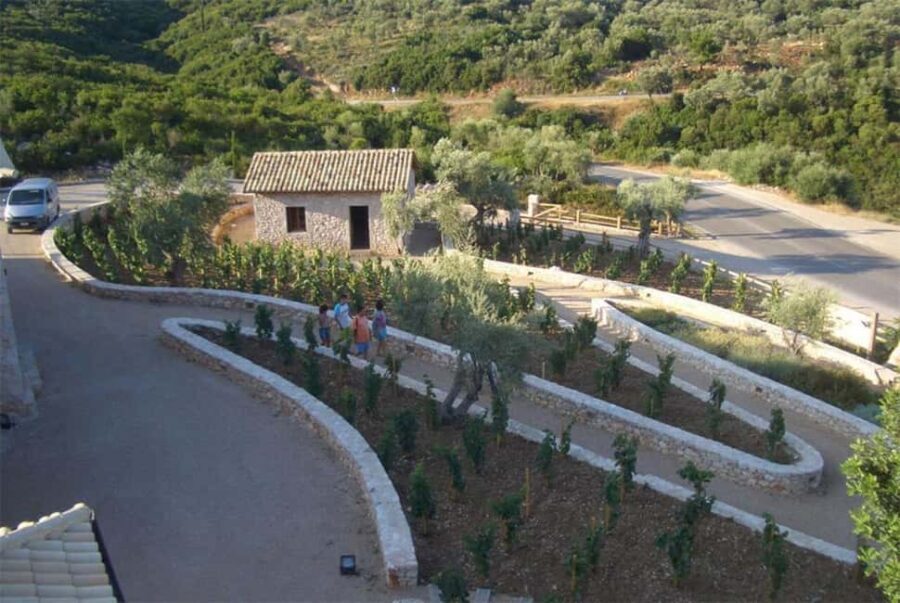 Discover Lefkada  Guided Tour & Local Experiences - The Itinerary Breakdown