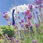 Discover London: A Private Tour with a Qualified Guide - The Itinerary: A Well-Curated Walk Across Westminster