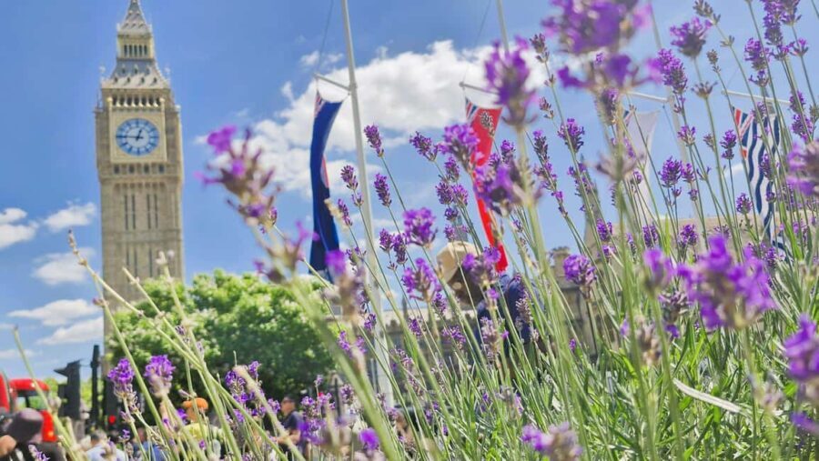 Discover London: A Private Tour with a Qualified Guide - The Itinerary: A Well-Curated Walk Across Westminster