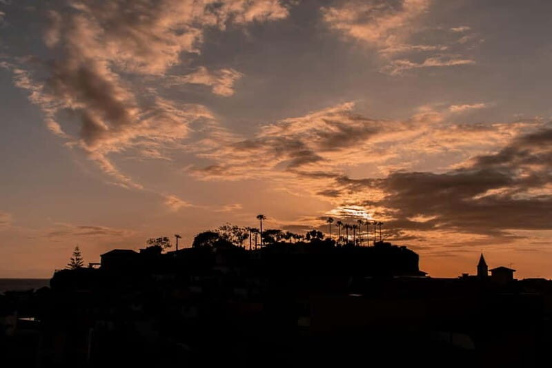 Discover Madeira in your own way: Private full-day tour - Breaking Down the Day: What You Can Expect