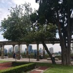 Discover Mexico City by Bike: Chapultepec to Downtown Tour! - Why This Tour Stands Out
