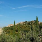 Discover Montepulciano: Cinta Senese Pigs, Lunch & wine in a Farm - What Makes This Experience Valuable