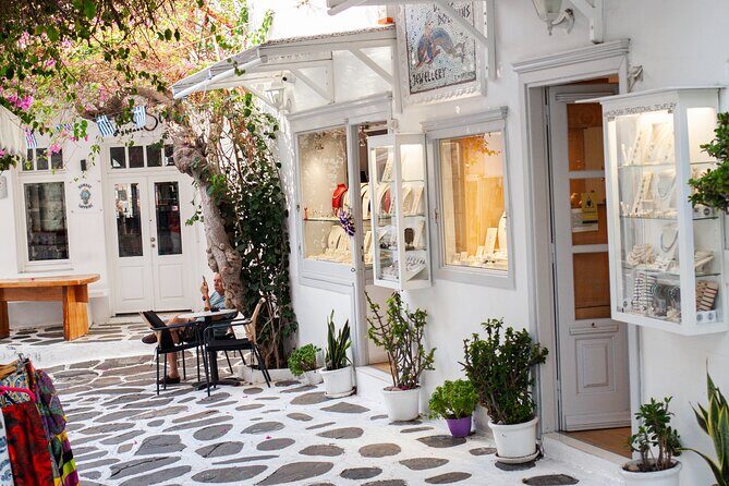 Discover Mykonos in 4 Hours Beaches Villages and Town - How the Reviews Shape Our View