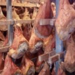 Discover Parma foods with Laura - The Experience of a Private Tour with Laura