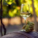 Discover Peljeac Peninsula - A Wine Tour in Small Groups - What the Tour Means for You
