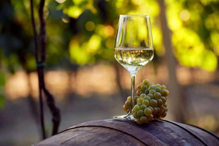 Discover Peljeac Peninsula - A Wine Tour in Small Groups - What the Tour Means for You