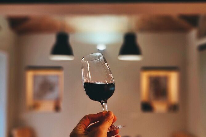 Discover Piedmont Wines in Turin - The Itinerary in Detail