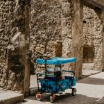 Discover Pompeii: French Walking Tour of the Buried City - Who Will Love This Tour?