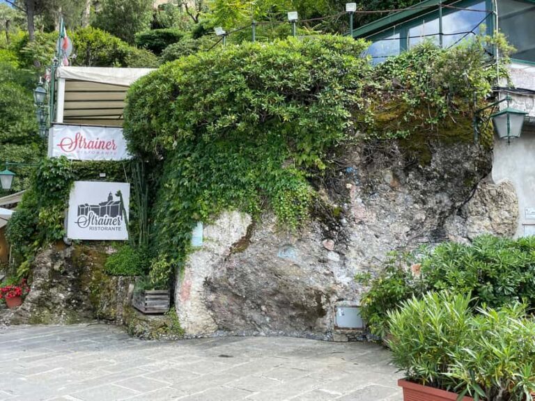 Discover Portofino on a Guided Walking Tour - The Practicalities: Meeting Points and Accessibility