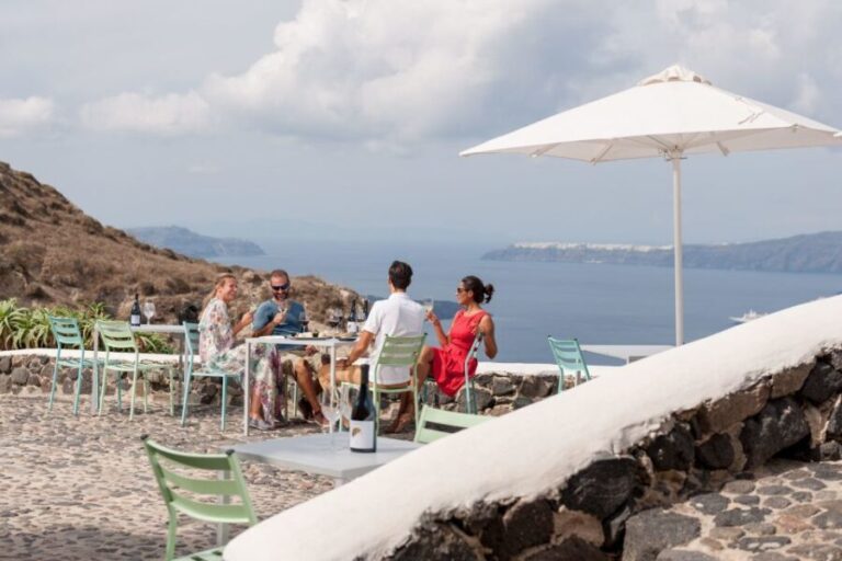 Discover Santorini: Prehistoric Akrotiri & Winery Tour - What People Say