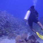 Discover Scuba - The Guides and Support