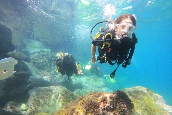Discover Scuba Dive in Gran Canaria - Insights from Other Travelers