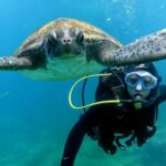 Discover Scuba Diving Experience in Turtle Habitat - FAQ