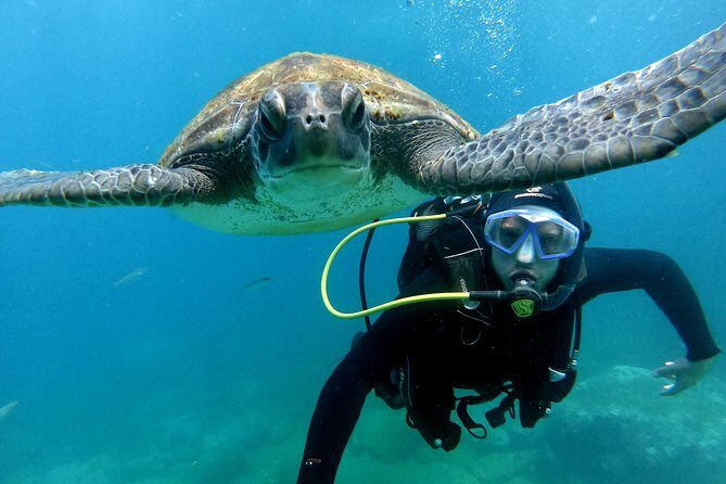 Discover Scuba Diving Experience in Turtle Habitat - FAQ