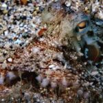 Discover Scuba Diving in Naxos, Greece - The Meeting Point and Easy Access