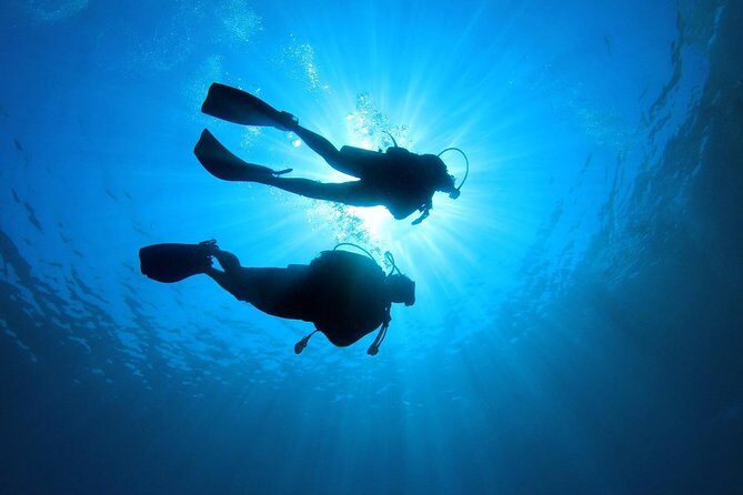 Discover Scuba Diving in Tenerife - Practical Details and Considerations