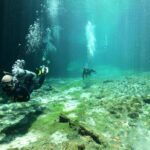 Discover Scuba Diving in Tulum - What You Can Expect From the Itinerary