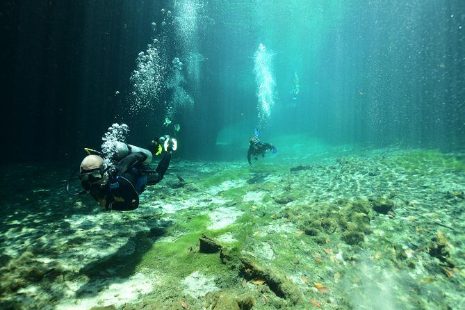 Discover Scuba Diving in Tulum - What You Can Expect From the Itinerary