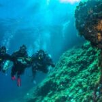 Discover Scuba Diving PADI - Trial dive in Sorrento - The Value of the Experience and Price Point