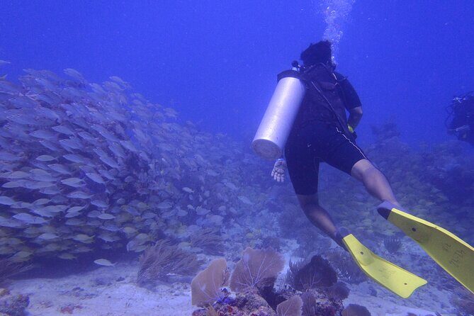 Discover Scuba - The Guides and Support