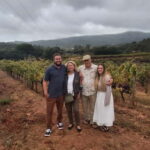 Discover Setúbal´s Secrets: Wine, Culture and Arrabida Magic - The Real Value of This Tour