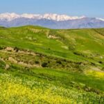 Discover South Crete  Rethymno - An In-Depth Look at the Tour Itinerary