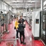 Discover the best cellars of Salento - Who Should Consider This Tour?