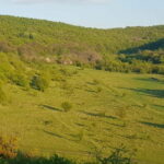 Discover the Charm of Guteria Hill/Sibiu Panorama - Detailed Breakdown of the Itinerary