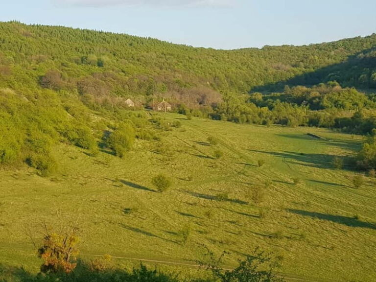 Discover the Charm of Guteria Hill/Sibiu Panorama - Detailed Breakdown of the Itinerary