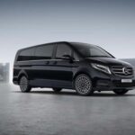 Discover the Heart of Alba and Barolo Reggion - The Details in Depth