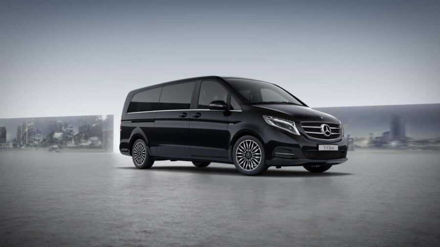 Discover the Heart of Alba and Barolo Reggion - The Details in Depth