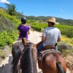 Discover the interior of Valencia on horseback - What Makes This Tour Stand Out?