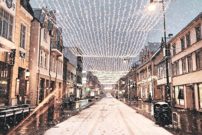 Discover the most Photogenic Spots of Tromsø with a Local - What It Feels Like to Take This Tour