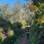 Discover the Paradise Valley - a quick escape for Everyone - The Itinerary in Detail