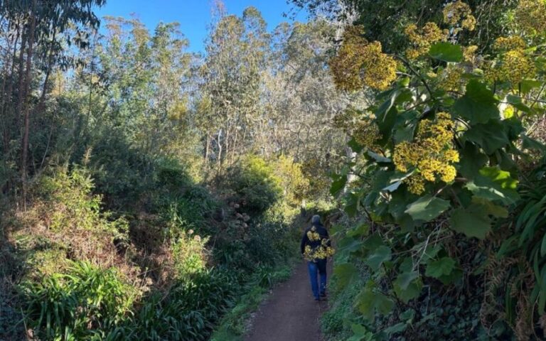 Discover the Paradise Valley - a quick escape for Everyone - The Itinerary in Detail