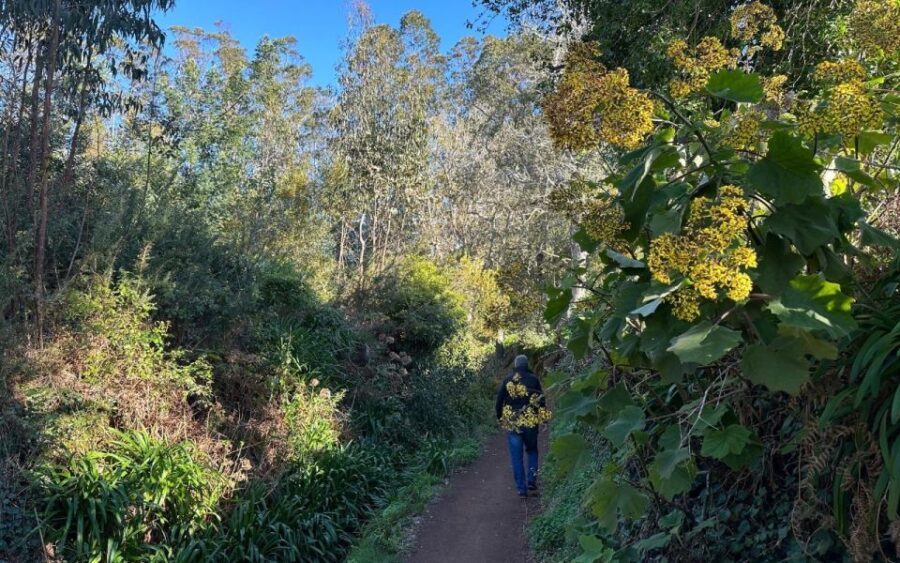 Discover the Paradise Valley - a quick escape for Everyone - The Itinerary in Detail