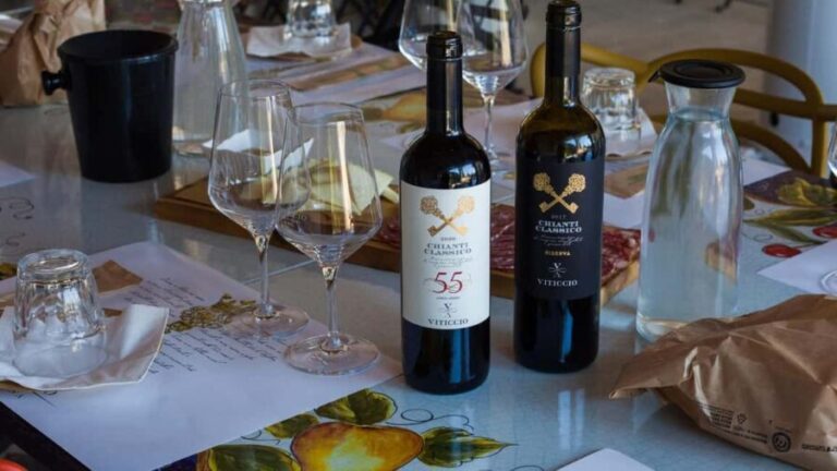 Discover the wines of Chianti Classico with a visit and tasting at Viticcio. - What to Expect from Your Visit