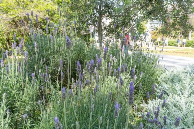 Discover the World of Herbs in the National Garden of Athens - Is It Worth the Price? Analyzing the Value