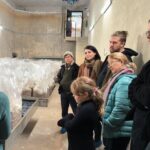 Discover the World of Mushrooms - Final Thoughts: Who Should Consider This Tour?