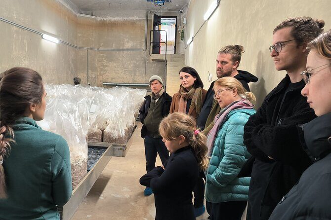 Discover the World of Mushrooms - Final Thoughts: Who Should Consider This Tour?