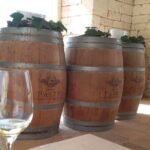 Discover Valle d 'Itria and its wines by ebike - What You Can Expect from the Tour