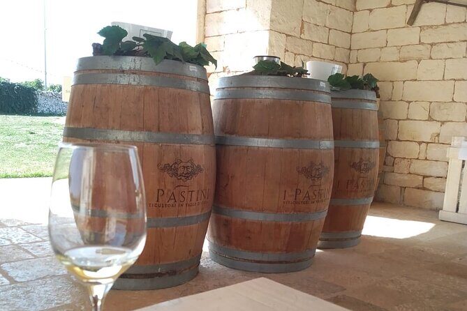 Discover Valle d 'Itria and its wines by ebike - What You Can Expect from the Tour