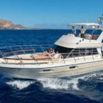 Discover whales in Tenerife: exclusive yacht tour with swim and lunch - Why this tour stands out