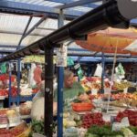 Discovering Cracow's Local Flavour: Food Tour - Who Would Enjoy This Tour?