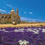 Discovering Gozo Full Day incl. Guide, Train & Ggantija Temples - What Do Travelers Say?