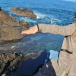 Discovering Northwest Madiera Shore Excursion w/ Harbour pickup - What Makes This Tour Stand Out?