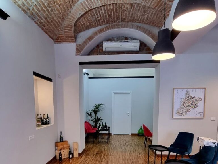 Discovering Piedmontese wines in the heart of Turin. - Who Would Love This Tour?