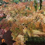 Discovering the charms and places of Coimbra - Visiting Key Religious Sites