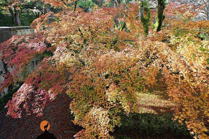 Discovering the charms and places of Coimbra - Visiting Key Religious Sites