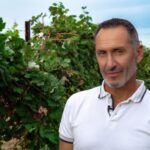 Discovering the mystery grape varieties - Who is this tour best for?